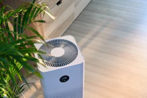 Sub Zero Temp Control - Air Purifier vs Humidifier: Which One Do You Need?